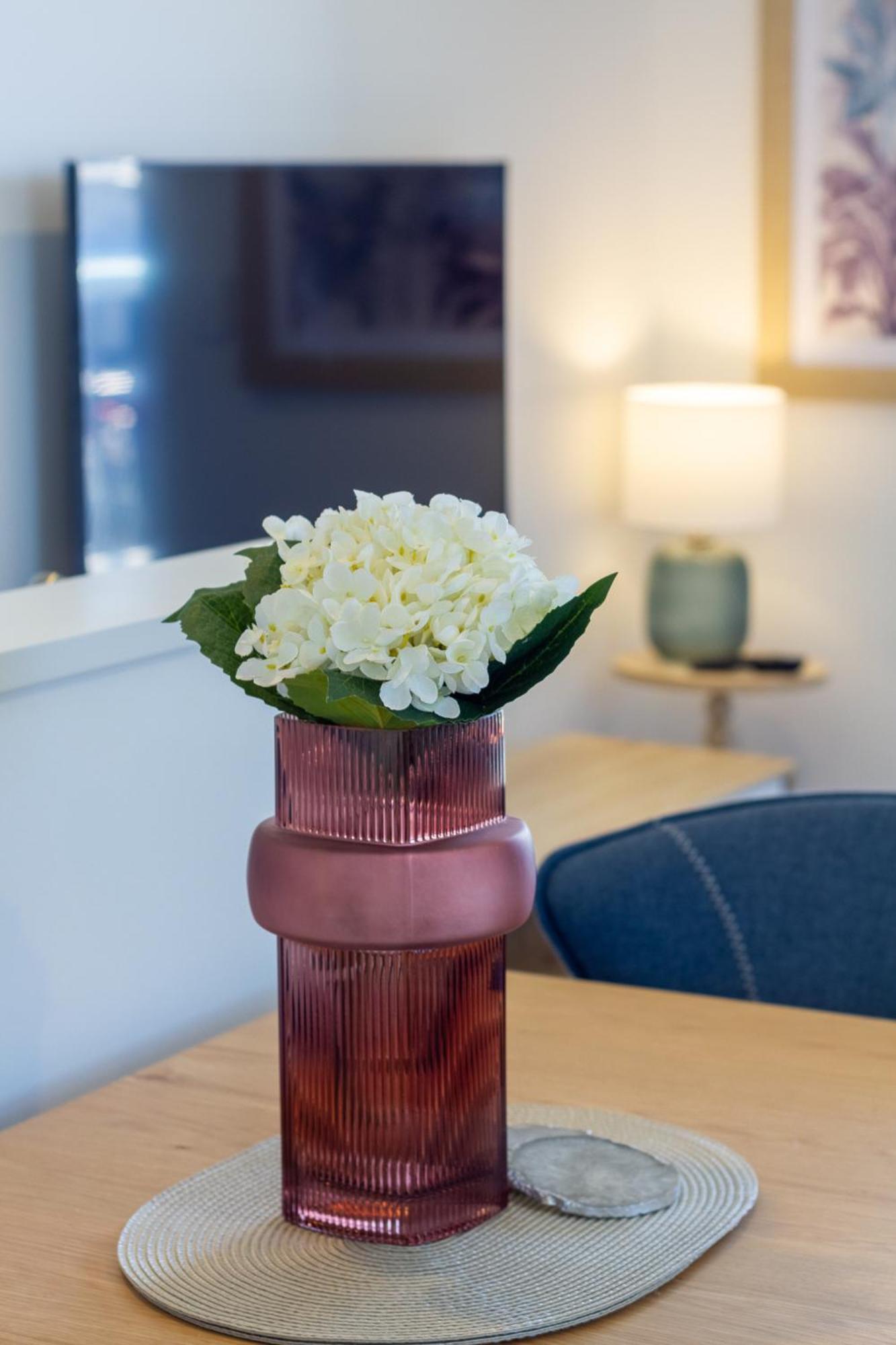 Studio Bliss: Explore From Wilmer St Christchurch Extérieur photo